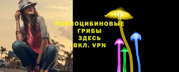не бодяженный Мегион