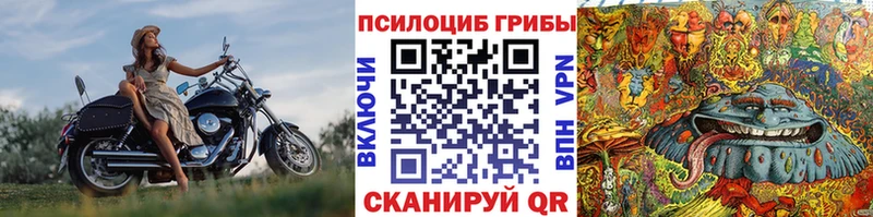 что такое   Приволжский  Псилоцибиновые грибы MAGIC MUSHROOMS 